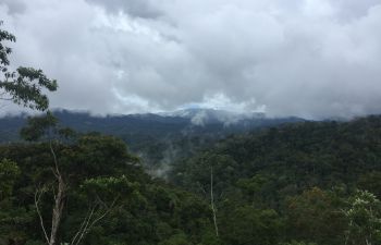 View of transpiration from tropical rainforest at case study site in northeast Peru