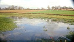 A flooded field near Horsted Keynes